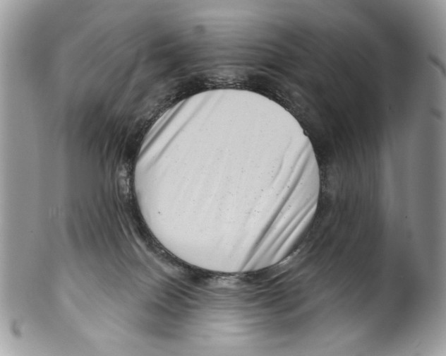 X0000099540086200806131159