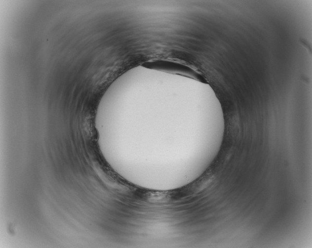 X0000099540088200806131159