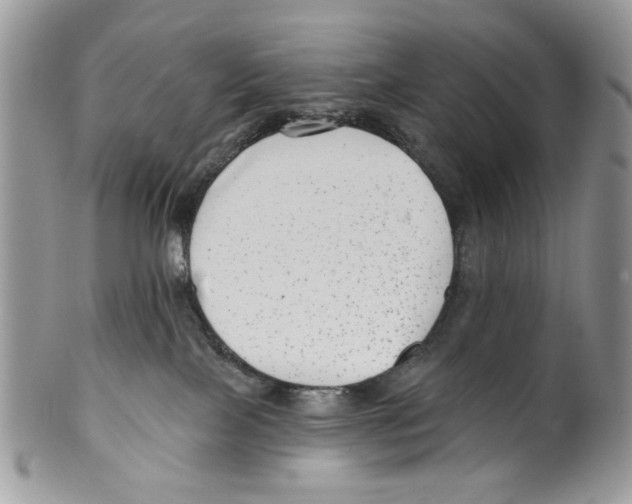 X0000099540089200806131159