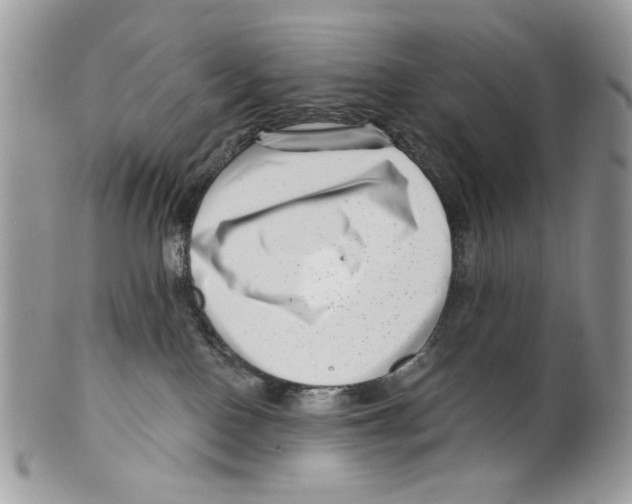 X0000099540090200806131159