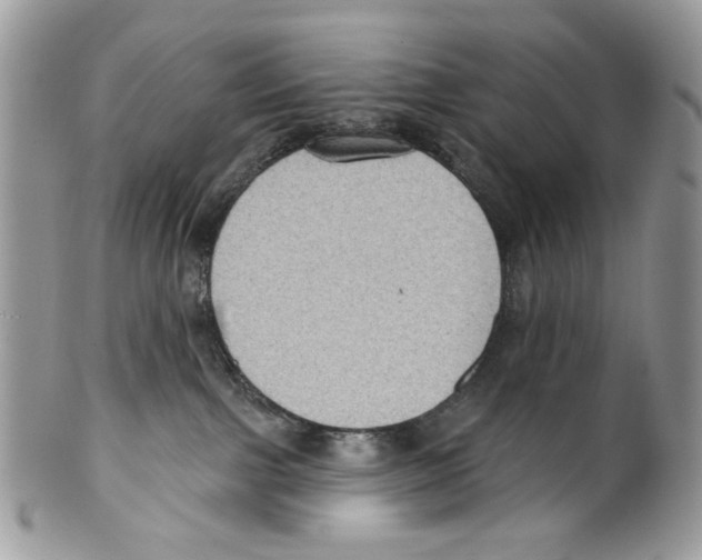 X0000099540091200806131159