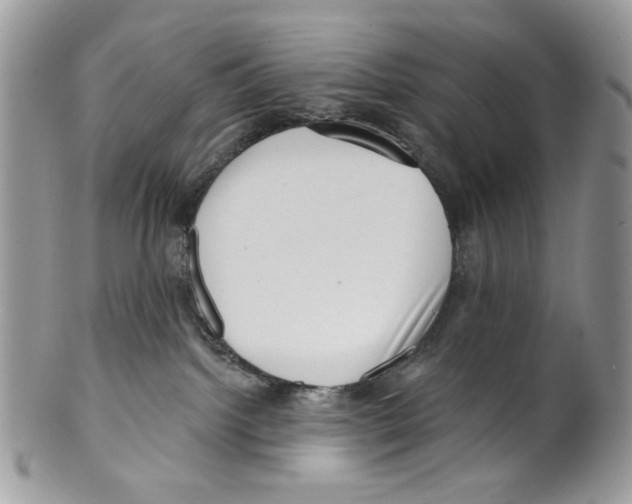 X0000099540092200806131159