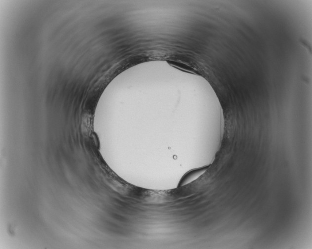 X0000099540093200806131159