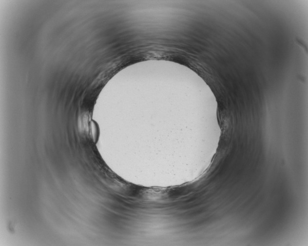 X0000099540094200806131159