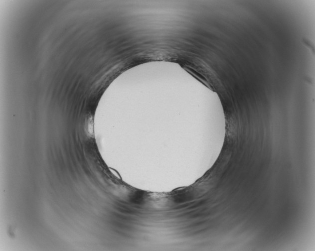 X0000099540095200806131159