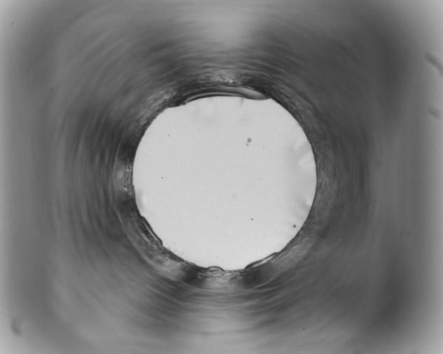 X0000099540096200806131159