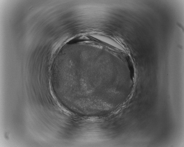 X0000099540097200806131158