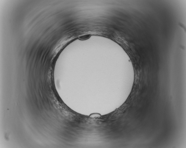 X0000099540098200806131158