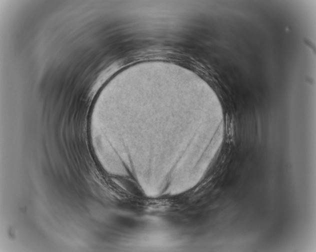 X0000099540099200806131158