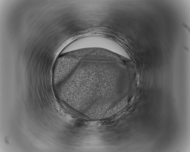 X0000099540100200806131158