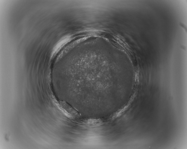 X0000099540101200806131158