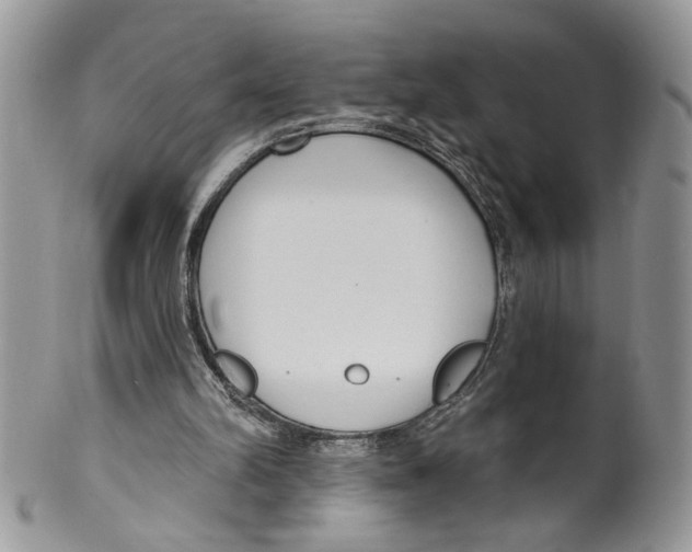 X0000099540102200806131158