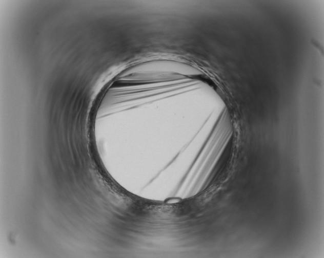 X0000099540104200806131158