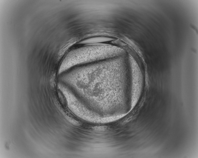 X0000099540105200806131158