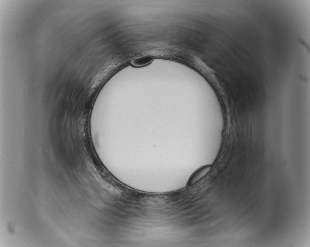 X0000099540106200806131158