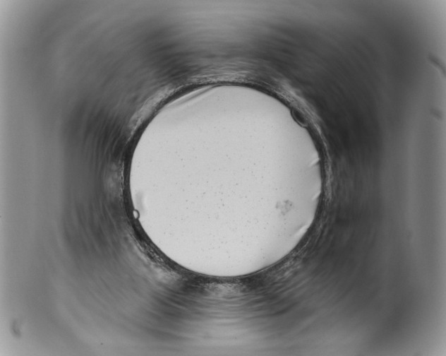 X0000099540107200806131158