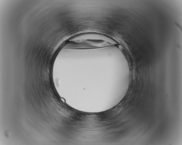 X0000099540108200806131158