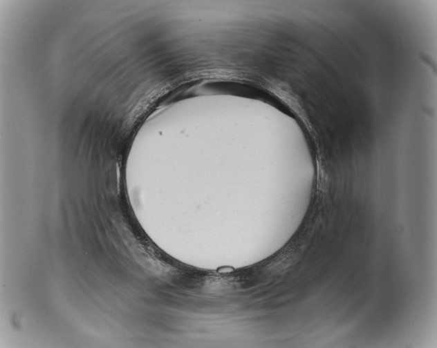 X0000099540109200806131158