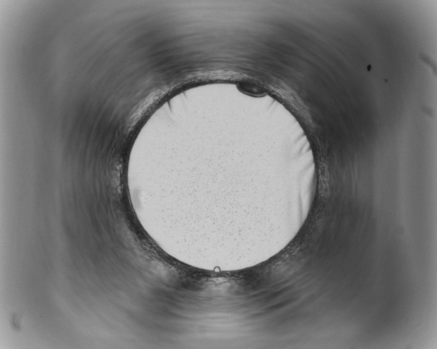 X0000099540111200806131158