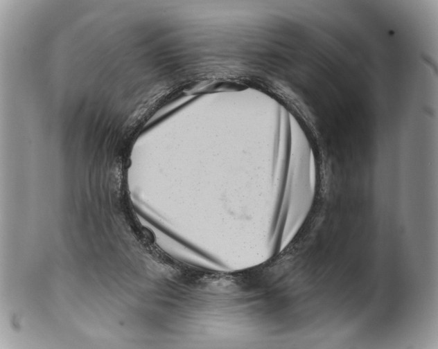 X0000099540113200806131158