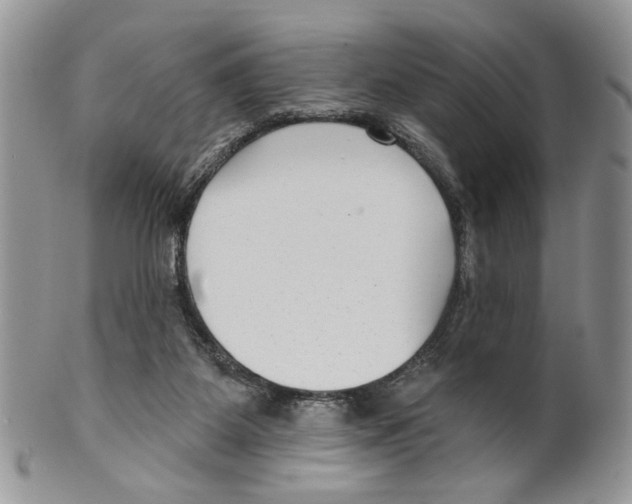 X0000099540115200806131158