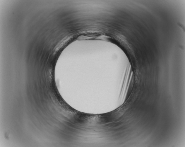 X0000099540116200806131158