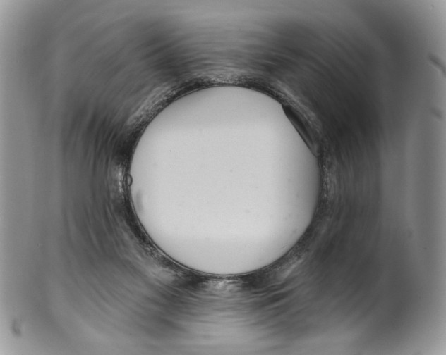 X0000099540117200806131158