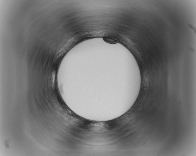 X0000099540118200806131158