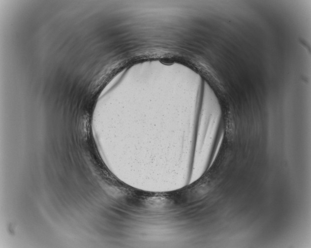 X0000099540119200806131158