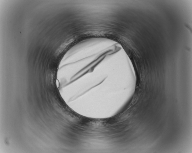 X0000099540120200806131158