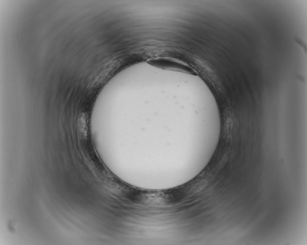 X0000099540121200806131158