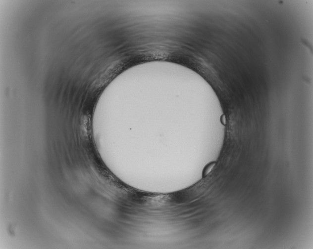 X0000099540122200806131158