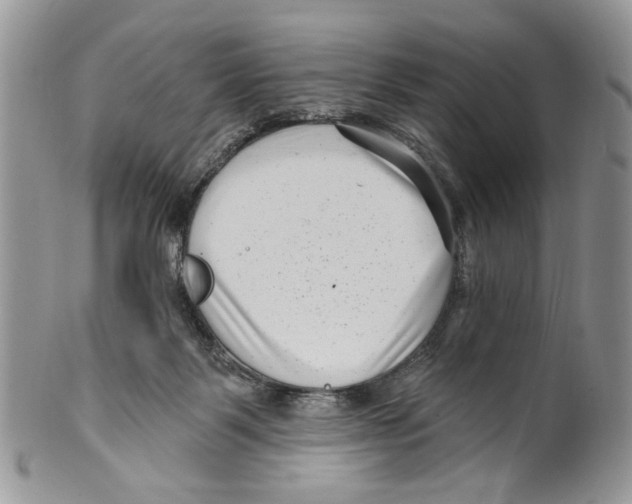 X0000099540123200806131158