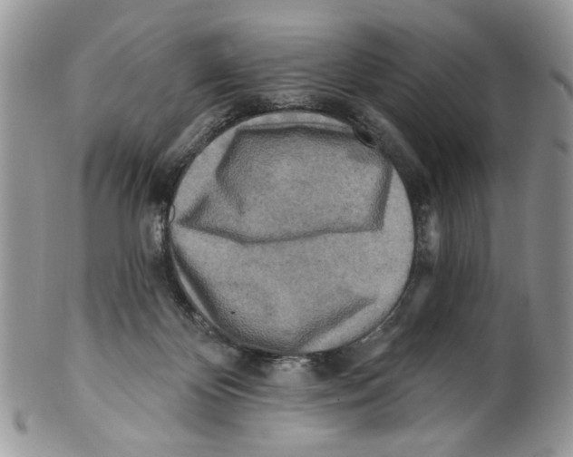 X0000099540124200806131158