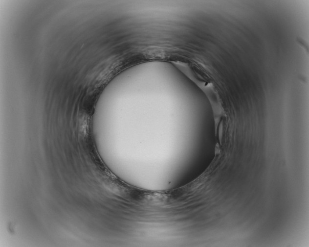 X0000099540125200806131158