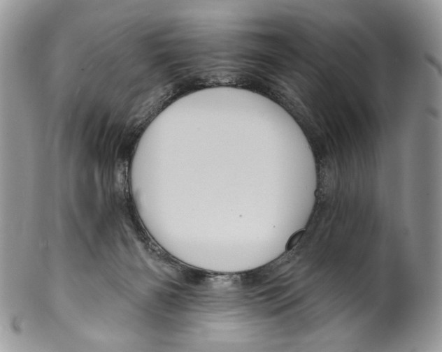 X0000099540126200806131158