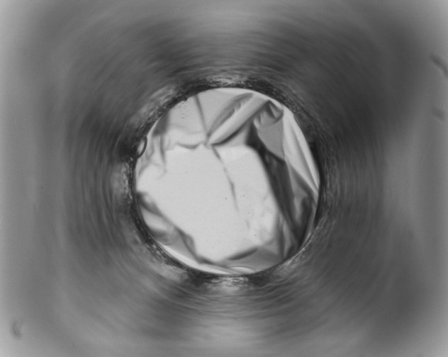 X0000099540128200806131158