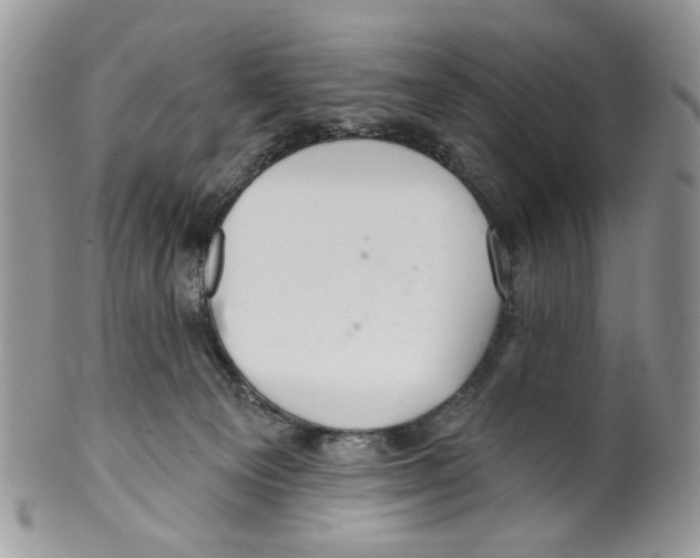 X0000099540129200806131158