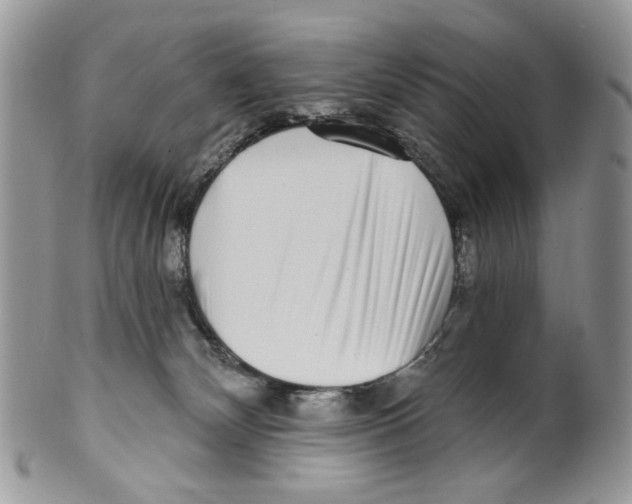 X0000099540132200806131158