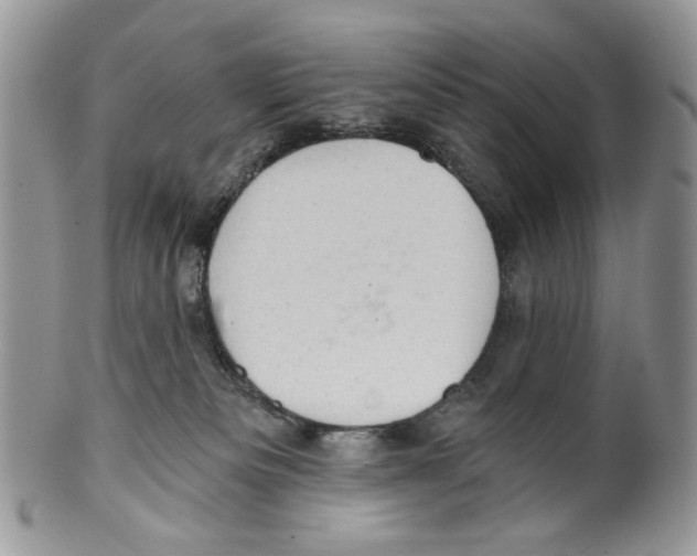 X0000099540133200806131158