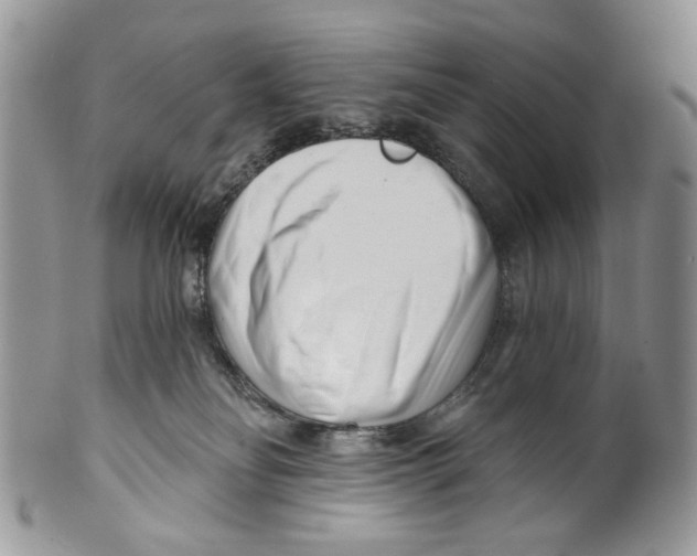 X0000099540134200806131158