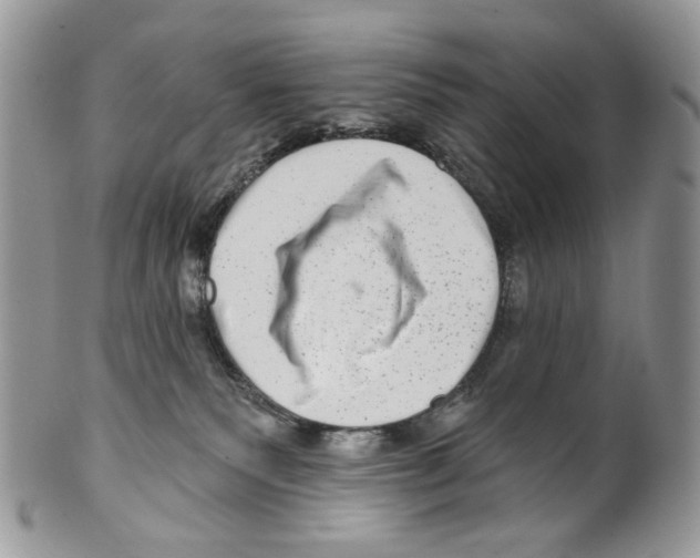 X0000099540135200806131158