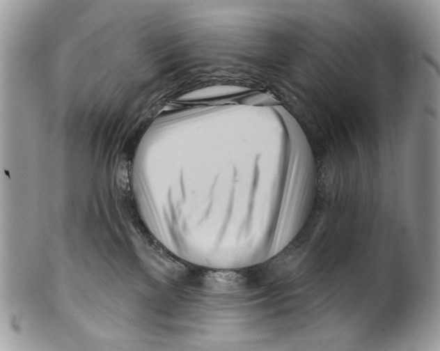 X0000099540137200806131158