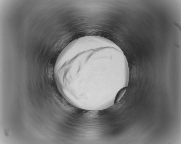 X0000099540138200806131158