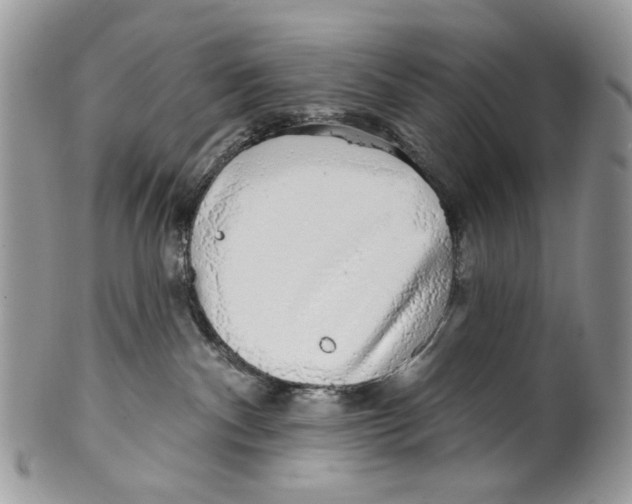 X0000099540140200806131158