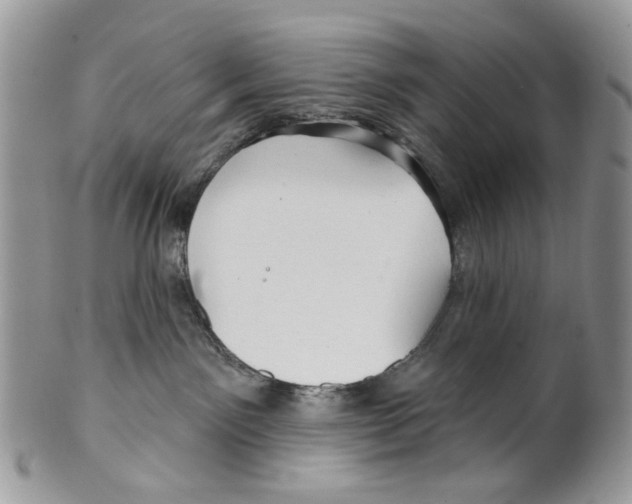 X0000099540141200806131158