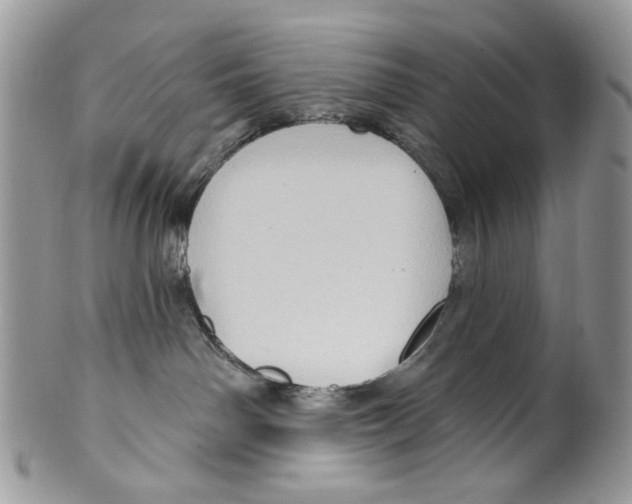 X0000099540142200806131158