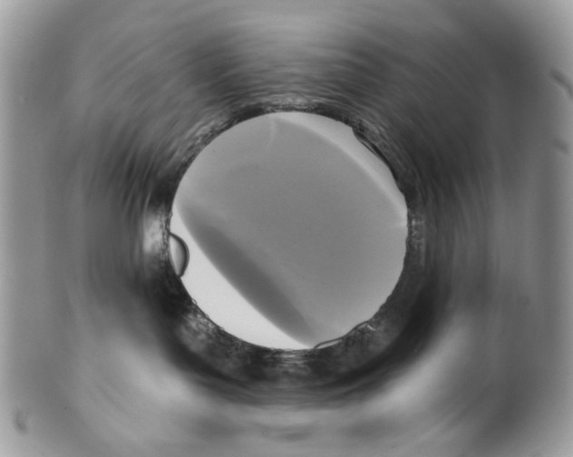 X0000099540143200806131158