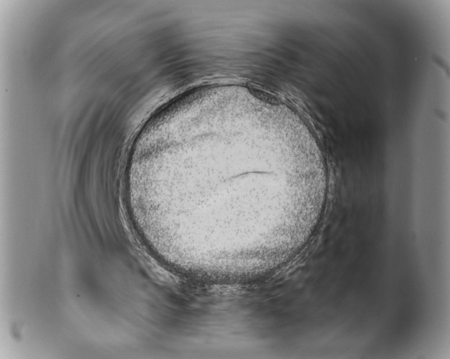 X0000099540145200806131157