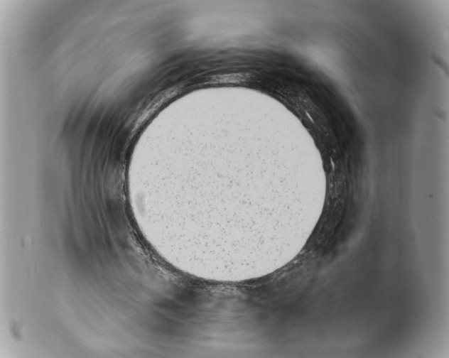 X0000099540146200806131157